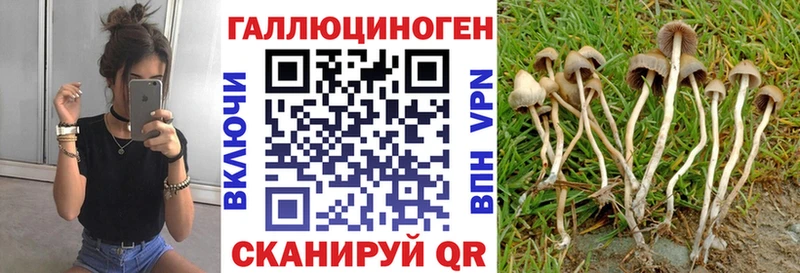 Галлюциногенные грибы MAGIC MUSHROOMS  цена   Вязники 