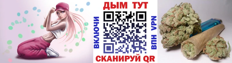 kraken зеркало  сколько стоит  Вязники  Шишки марихуана конопля 